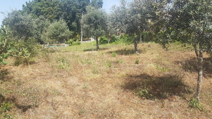 Image No.10-Plot for sale