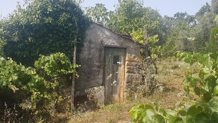 Image No.11-Plot for sale