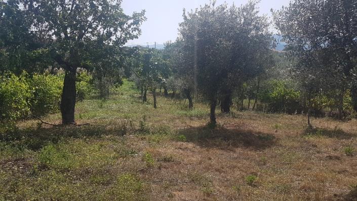 Image No.13-Plot for sale