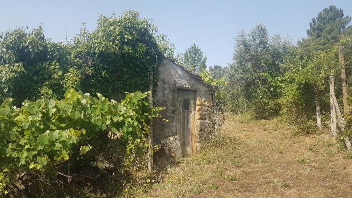 Image No.16-Plot for sale