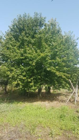 Image No.19-Plot for sale