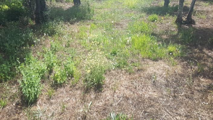 Image No.20-Plot for sale