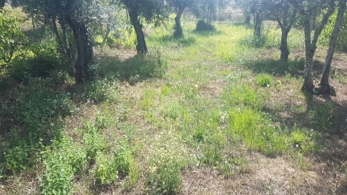 Image No.21-Plot for sale