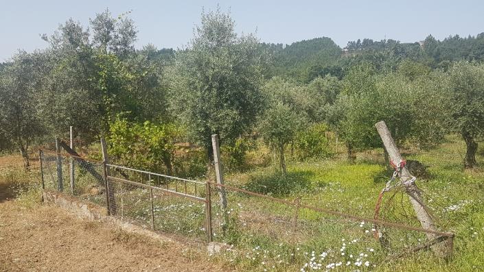 Image No.24-Plot for sale