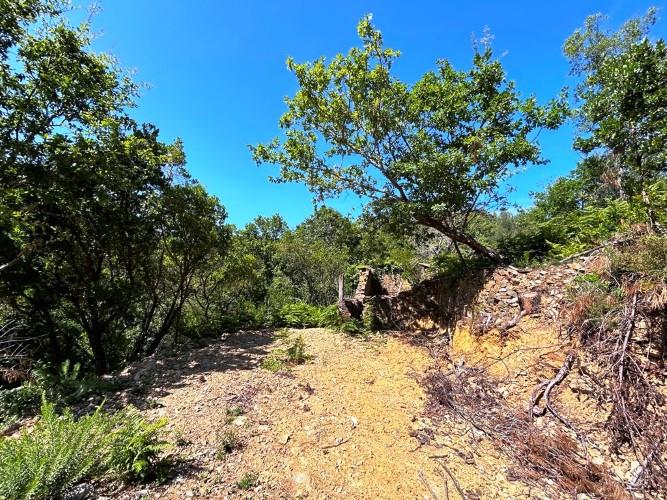 Image No.5-Terre à vendre à Góis