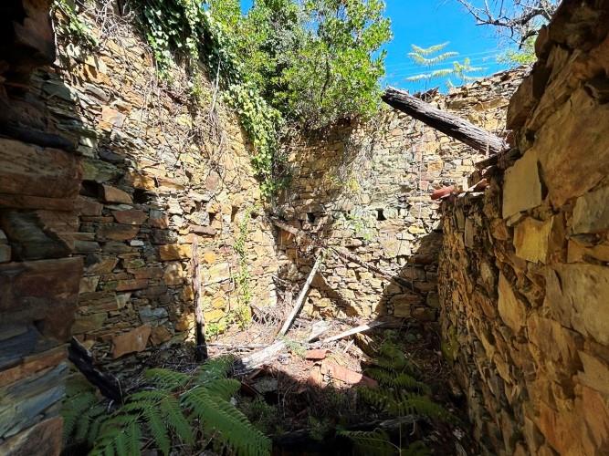 Image No.7-Terre à vendre à Góis