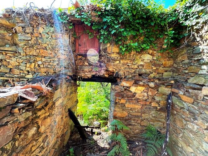 Image No.8-Terre à vendre à Góis