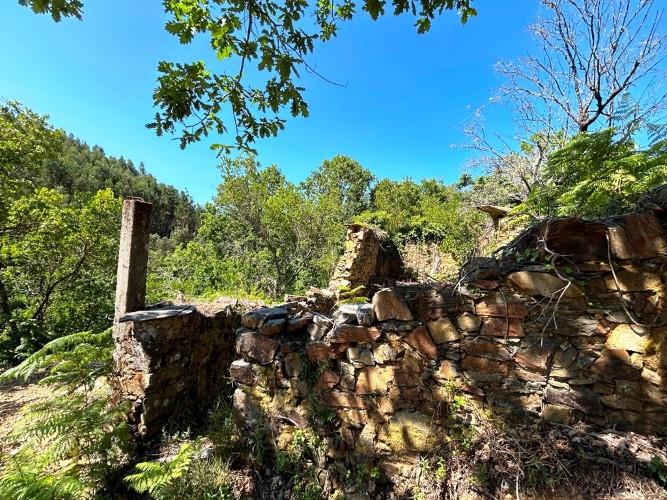 Image No.9-Terre à vendre à Góis