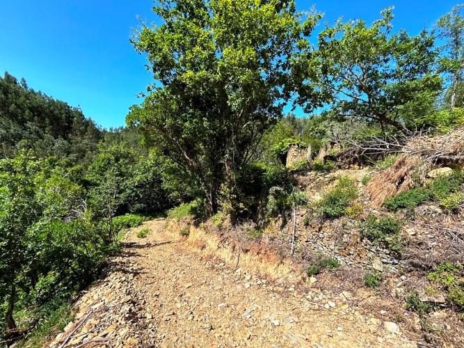 Image No.10-Terre à vendre à Góis