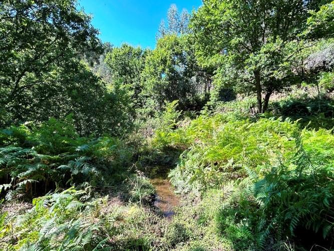 Image No.12-Terre à vendre à Góis