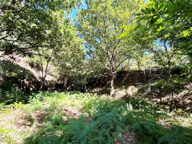 Image No.17-Terre à vendre à Góis