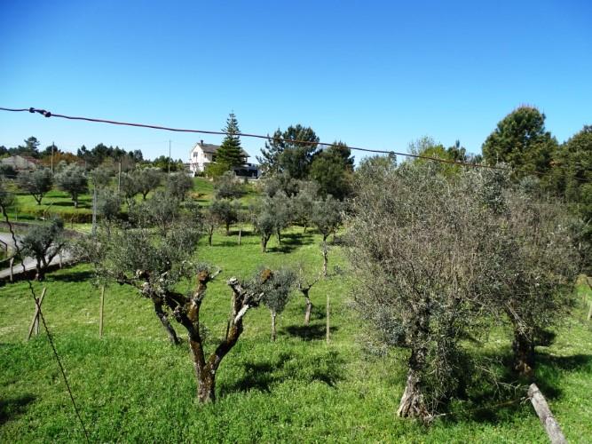 Image No.27-3 Bed House for sale