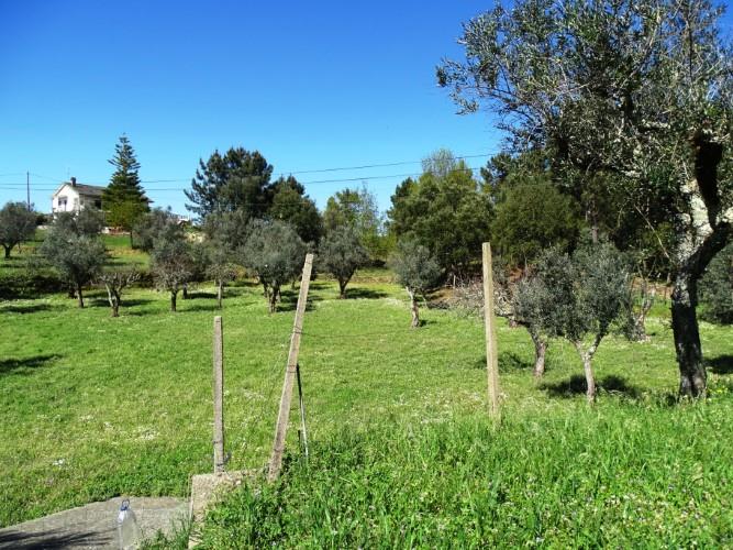 Image No.53-3 Bed House for sale