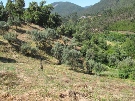 Image No.5-2 Bed Property for sale