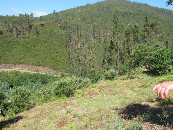 Image No.6-2 Bed Property for sale