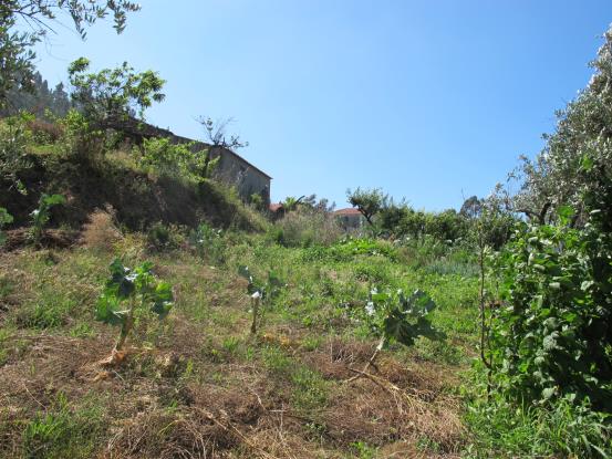 Image No.7-2 Bed Property for sale