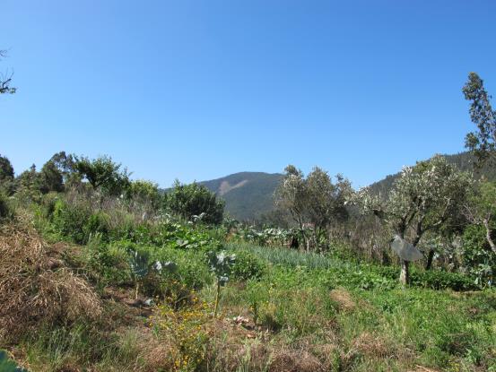 Image No.8-2 Bed Property for sale