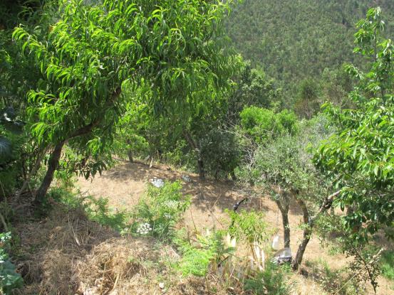 Image No.13-2 Bed Property for sale