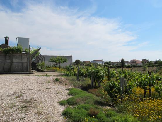 Image No.9-Maison de campagne à vendre à Sertã