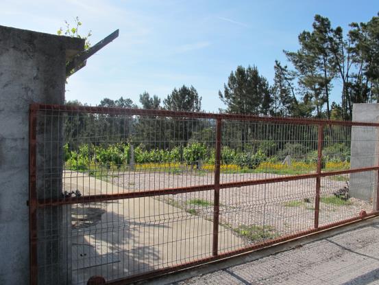 Image No.3-Maison de campagne à vendre à Sertã