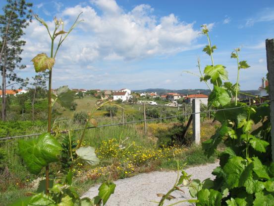 Image No.8-Maison de campagne à vendre à Sertã