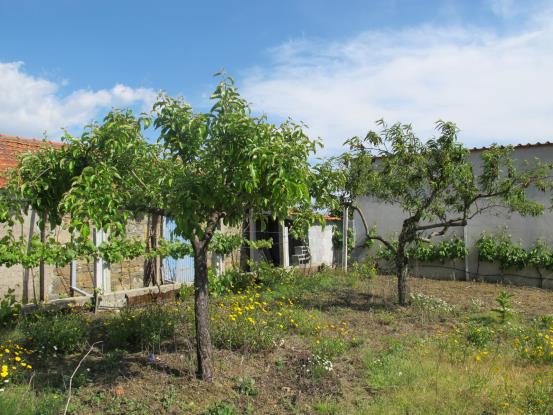 Image No.7-Maison de campagne à vendre à Sertã