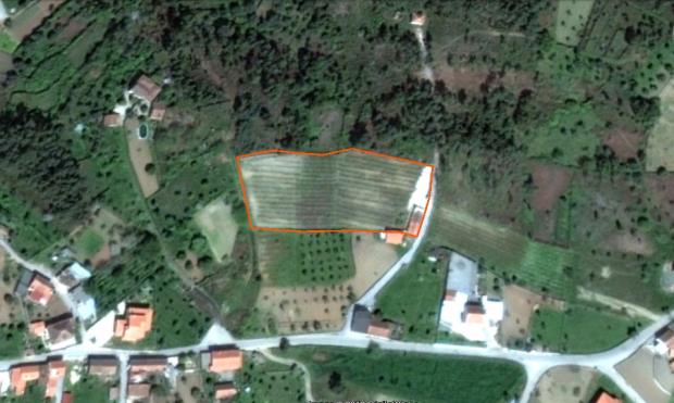 Image No.20-Maison de campagne à vendre à Sertã