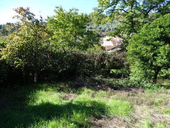 Image No.8-3 Bed House for sale