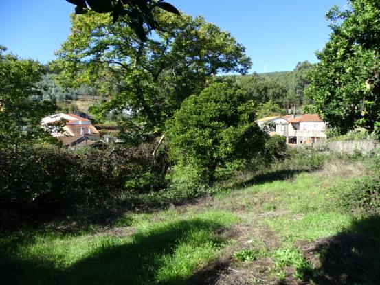 Image No.6-3 Bed House for sale