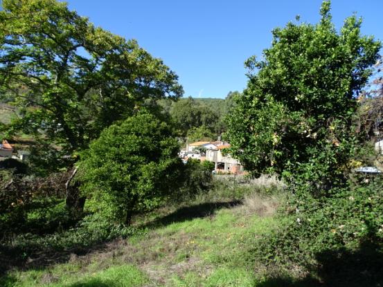 Image No.7-3 Bed House for sale