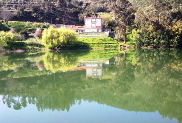 Image No.3-Maison de 4 chambres à vendre à Figueiró dos Vinhos