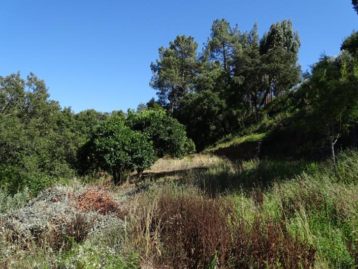 Image No.19-Maison de 4 chambres à vendre à Figueiró dos Vinhos