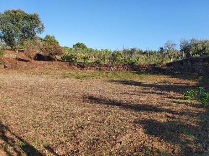 Image No.2-Plot for sale