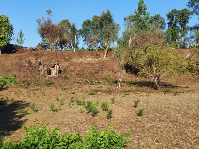 Image No.3-Plot for sale