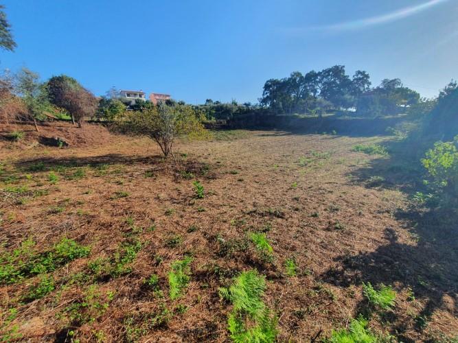 Image No.8-Plot for sale