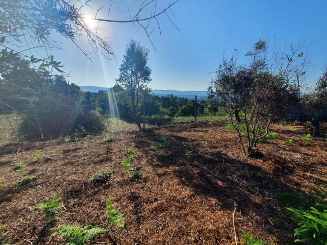 Image No.11-Plot for sale