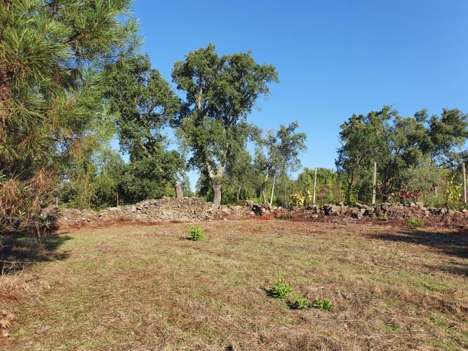 Image No.12-Plot for sale