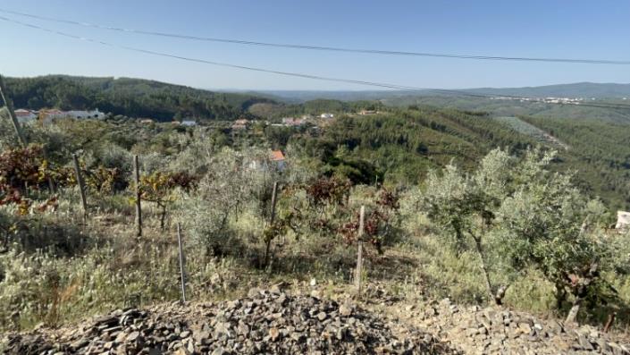 Image No.5-Plot for sale