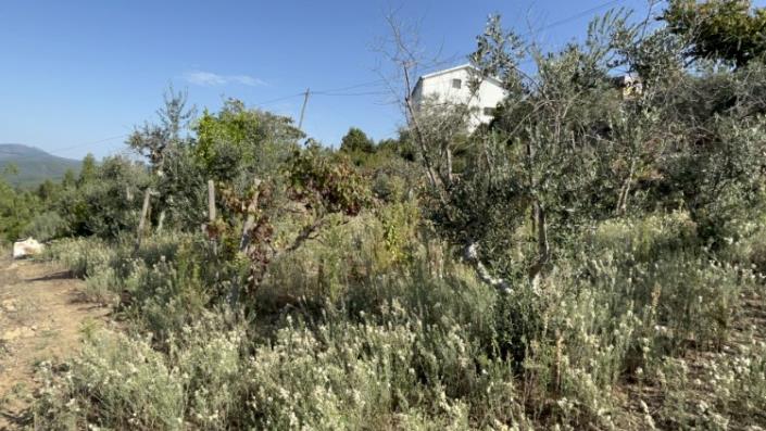 Image No.8-Plot for sale