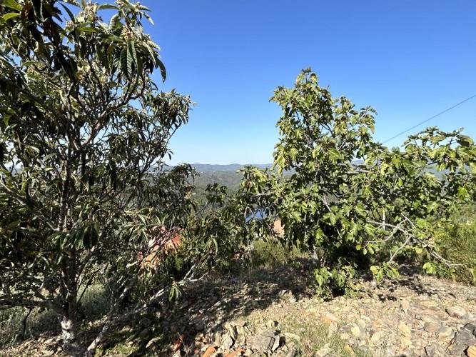 Image No.11-Plot for sale