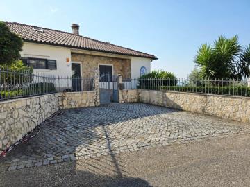 3---1164--NEW---Medium-