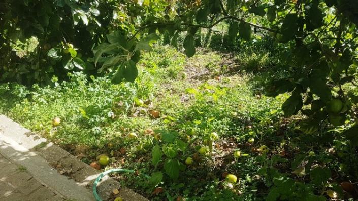 Image No.35-Maison de village de 3 chambres à vendre à Pedrógão Grande