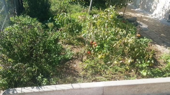 Image No.36-Maison de village de 3 chambres à vendre à Pedrógão Grande