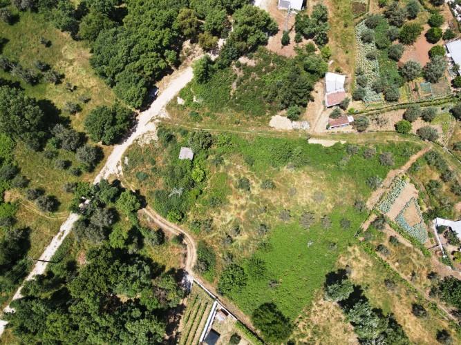 Image No.4-Terre à vendre à Pedrógão Grande