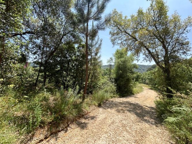 Image No.5-Terre à vendre à Pedrógão Grande