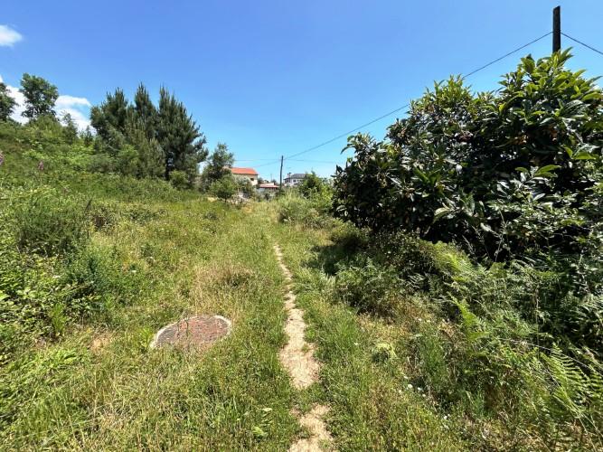 Image No.8-Terre à vendre à Pedrógão Grande