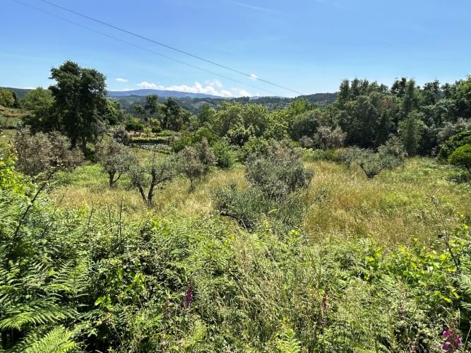 Image No.9-Terre à vendre à Pedrógão Grande