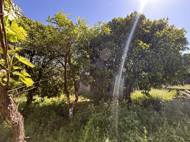 Image No.51-2 Bed House/Villa for sale