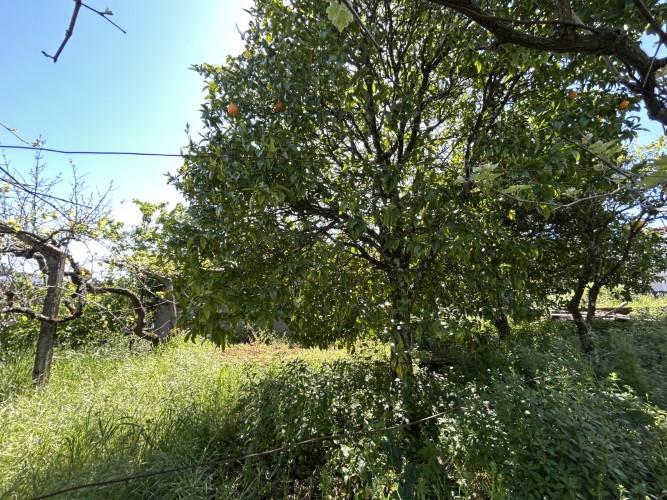 Image No.54-2 Bed House/Villa for sale