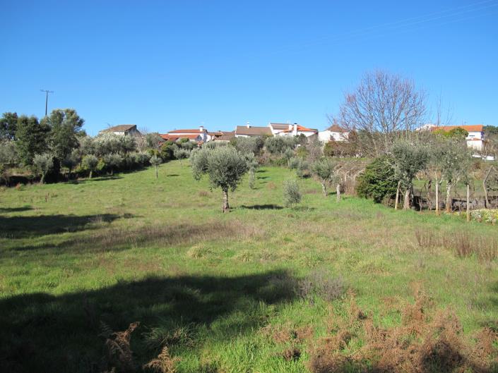 Image No.5-Terrain à vendre à Pedrógão Grande